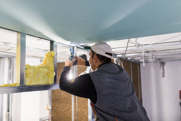 Best Insulation Installation Services in Converse, TX